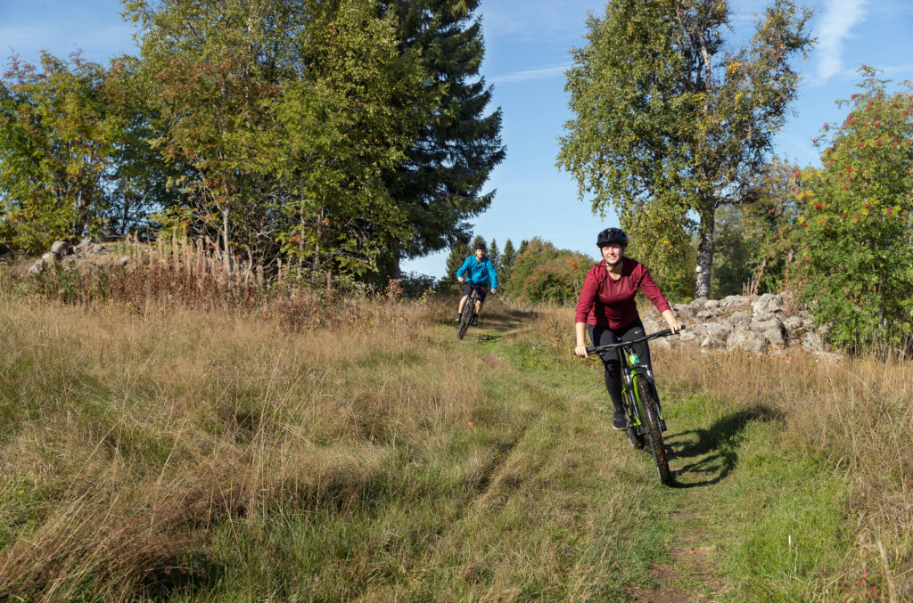 säfsen mtb karta Cykling For Hela Familjen Cykla Mountainbike I Dalarna Safsen Resort säfsen mtb karta