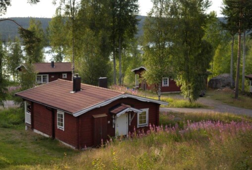 Röda stugor sommar vid sjö.