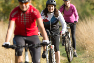 Tre cyklar mountainbike i rad på äng.