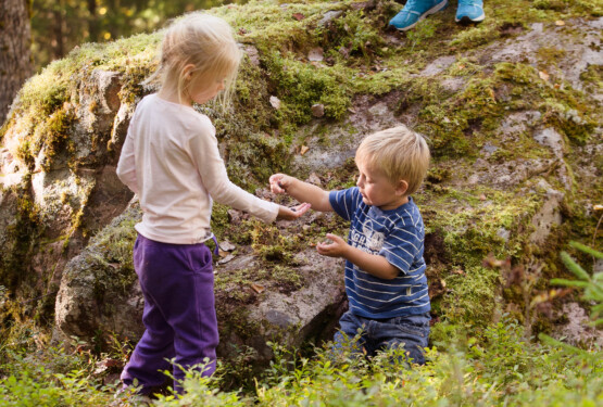 Barn plockar bär i skogen.
