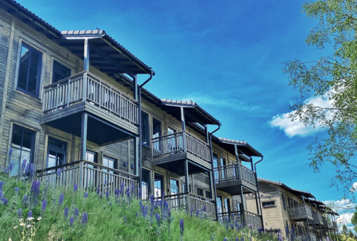 Vargspåret i sommargrönska-6738