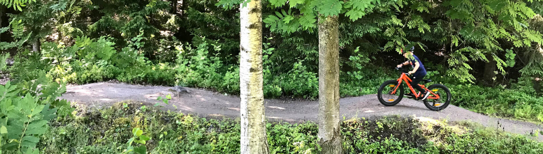 Pojke på MTB i BMX-banan-9795