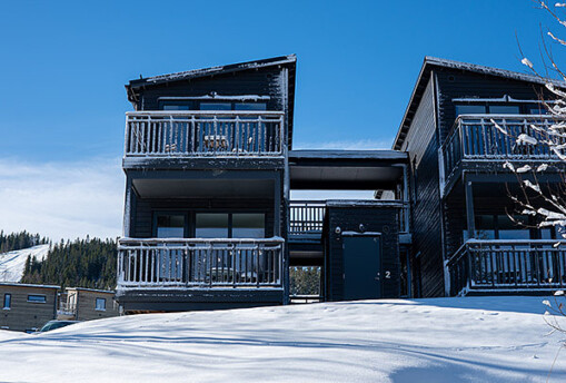 20240318-DSC06850_solslingan-1005-1008_600x405