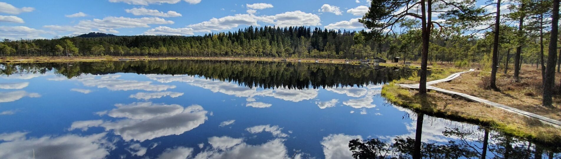 Säfssjön på sommaren