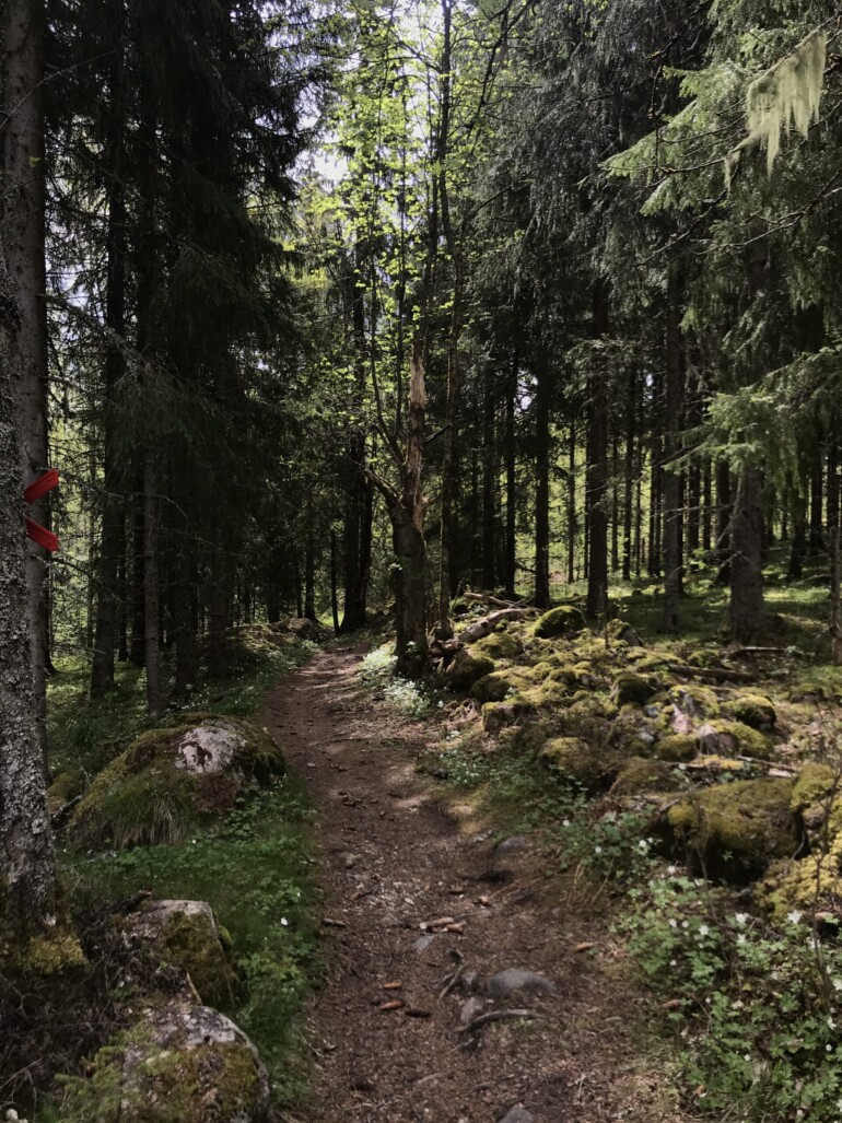 Finnmarken i Säfsen