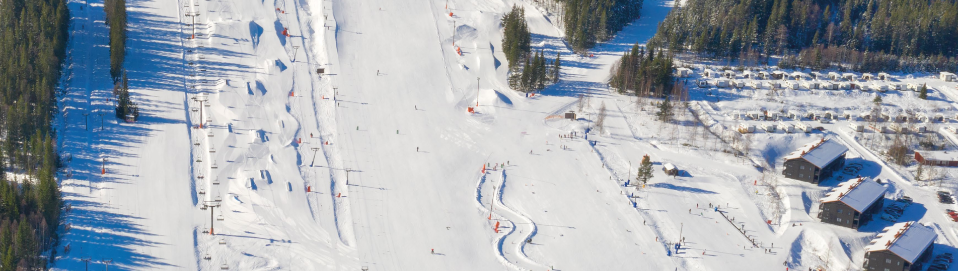 Alpin pist vargspåret