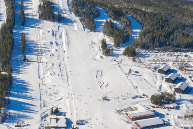 Alpin pist vargspåret