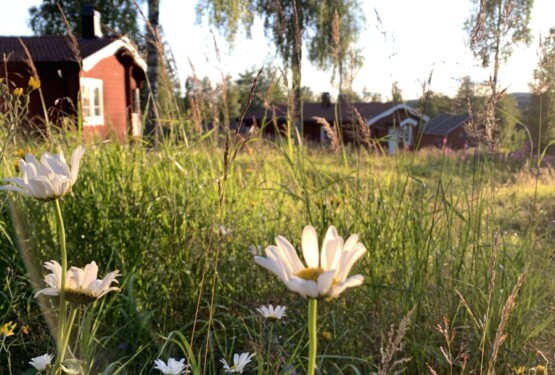 IMG-7103