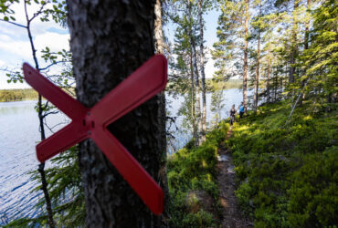 Vandring på vackra leder runt Säfssjön