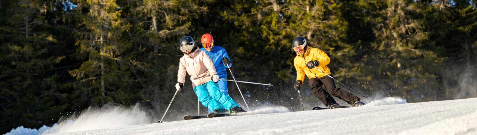 friskvård skidor liftkort