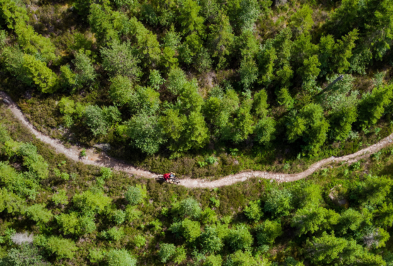 Headers_Barmark (2560 x 1333 px) (5)