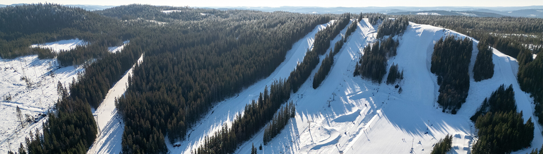 20240307-DJI_0326_header