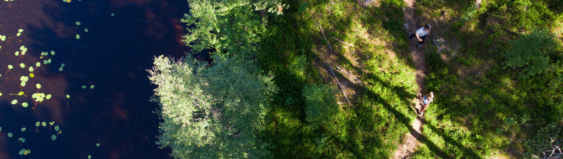 DJI_0170_header