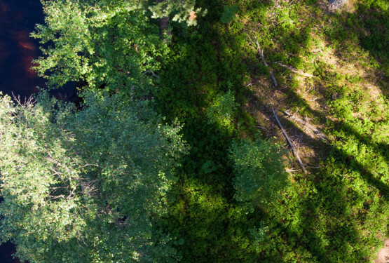 DJI_0170_header