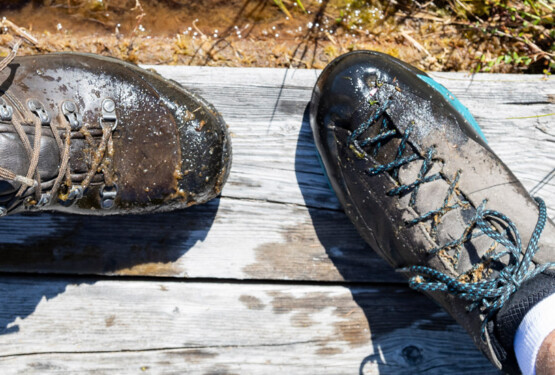 _76A1805_header_web