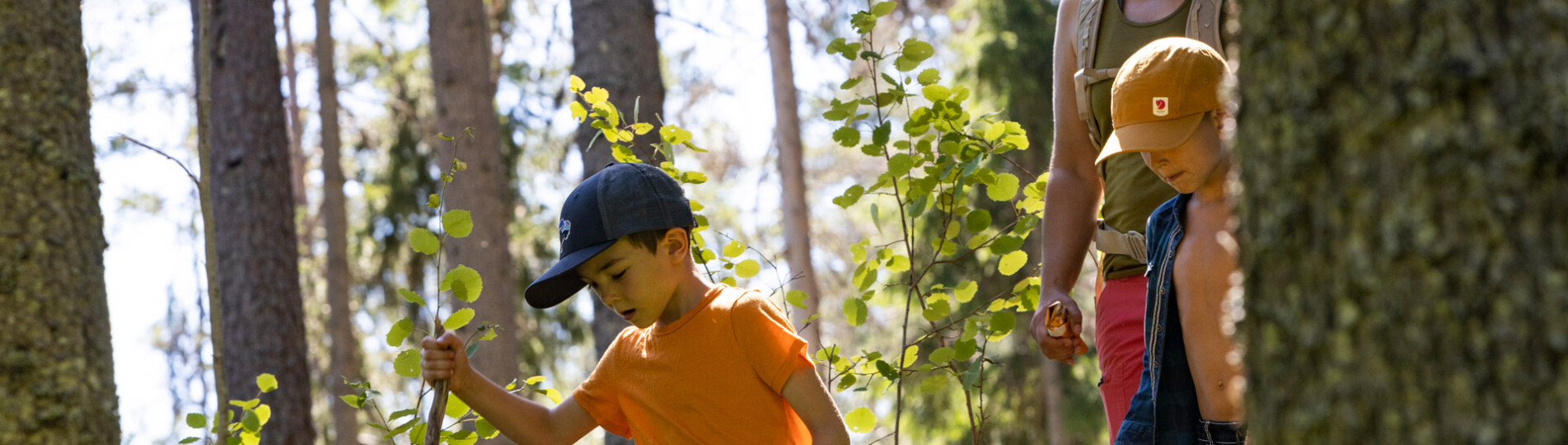 Tilbud Sommer i Säfsen