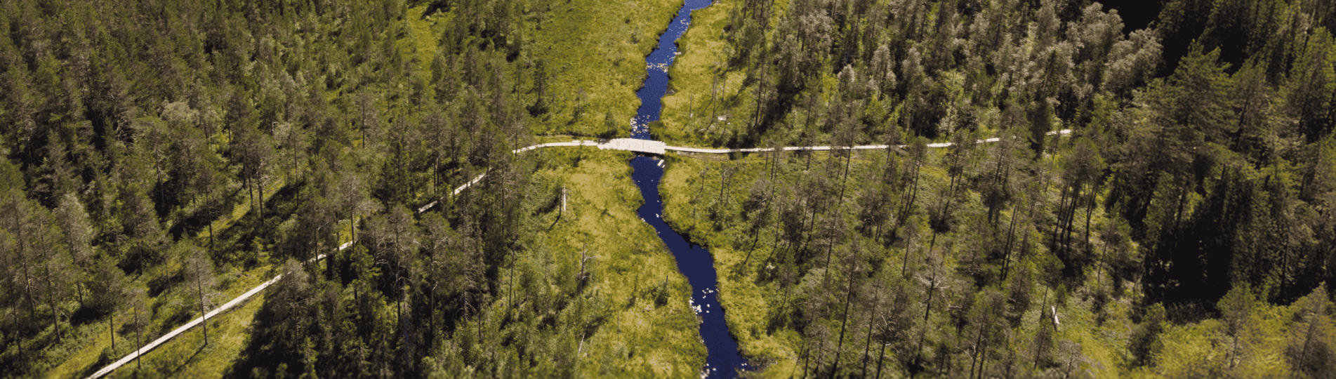 Headers_Barmark (2560 x 1333 px) (30)