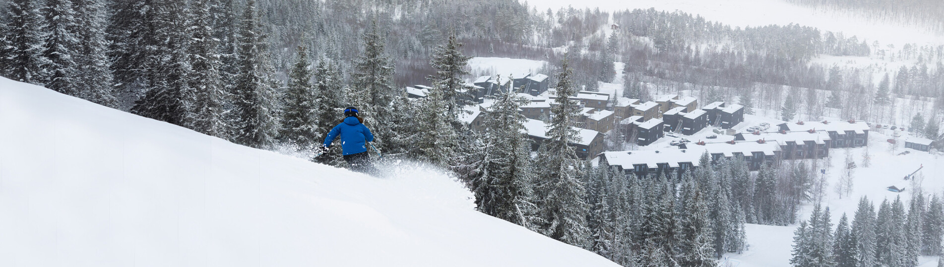 F48A1047_Expanded_2560x1333