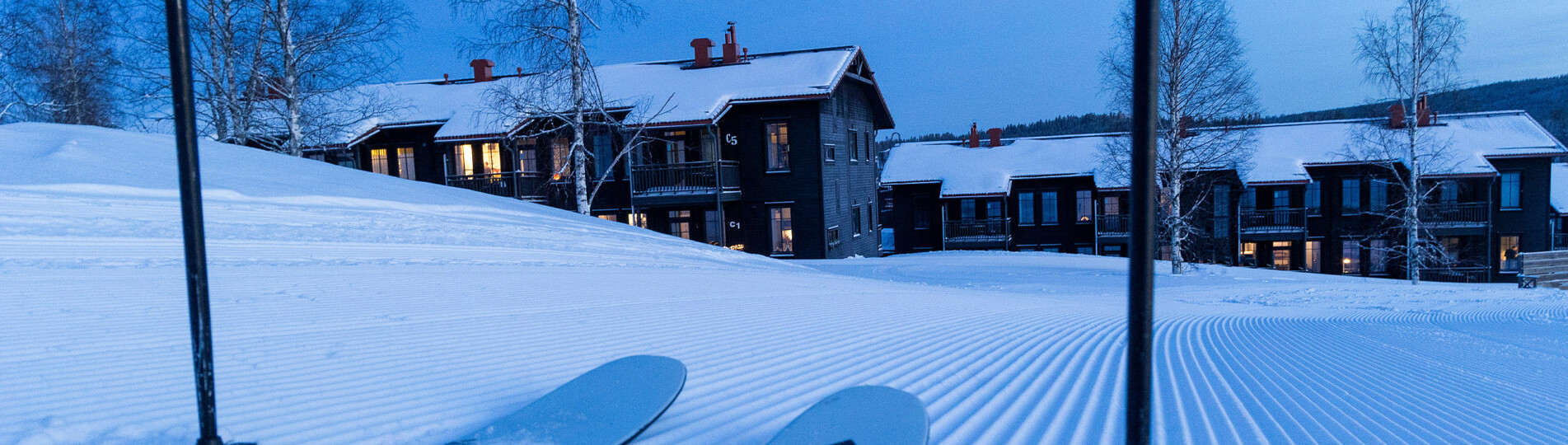 F48A2941_header_web-2560