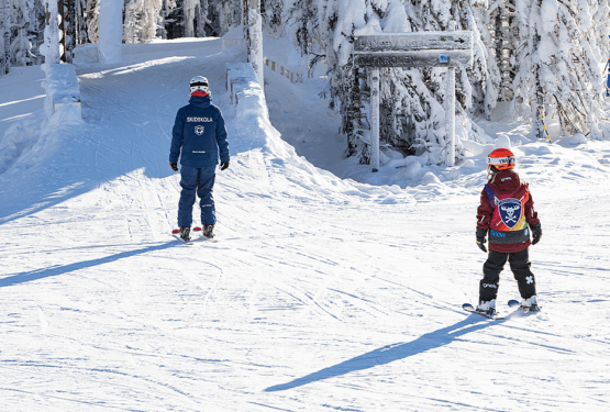 hemsidaskidskolablogg