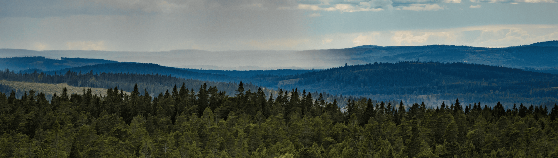 Headers_Barmark (2560 x 1333 px) (17)