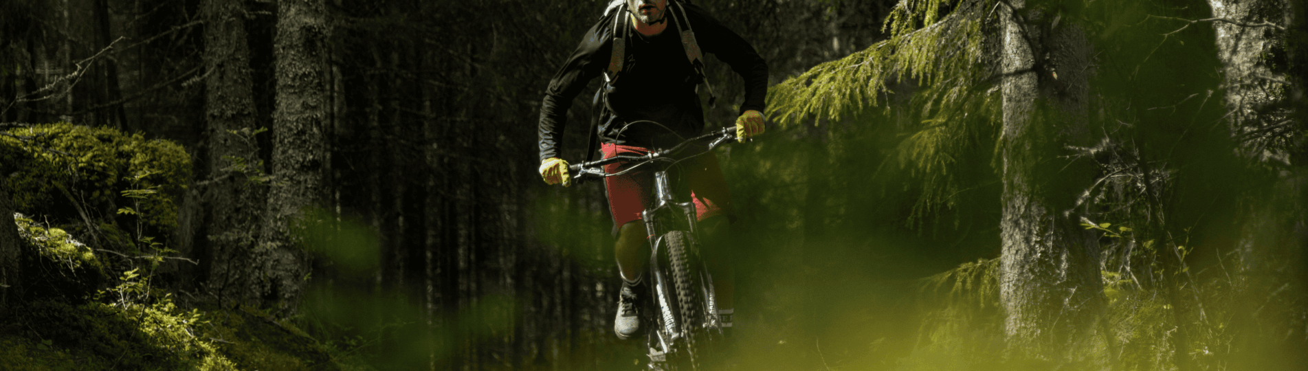 Headers_Barmark (2560 x 1333 px) (4)