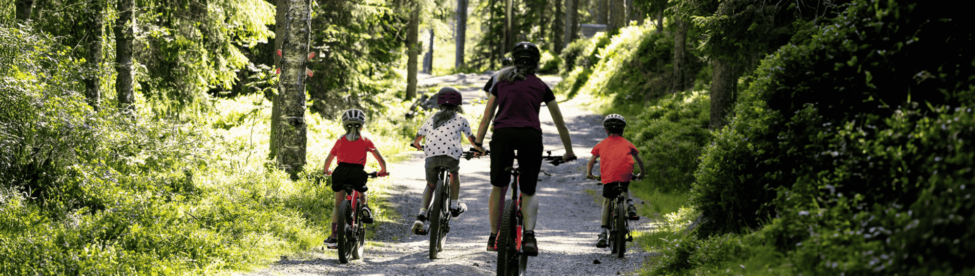 Tre barn och en vuxen cyklar iväg på en grusväg i soligt väder
