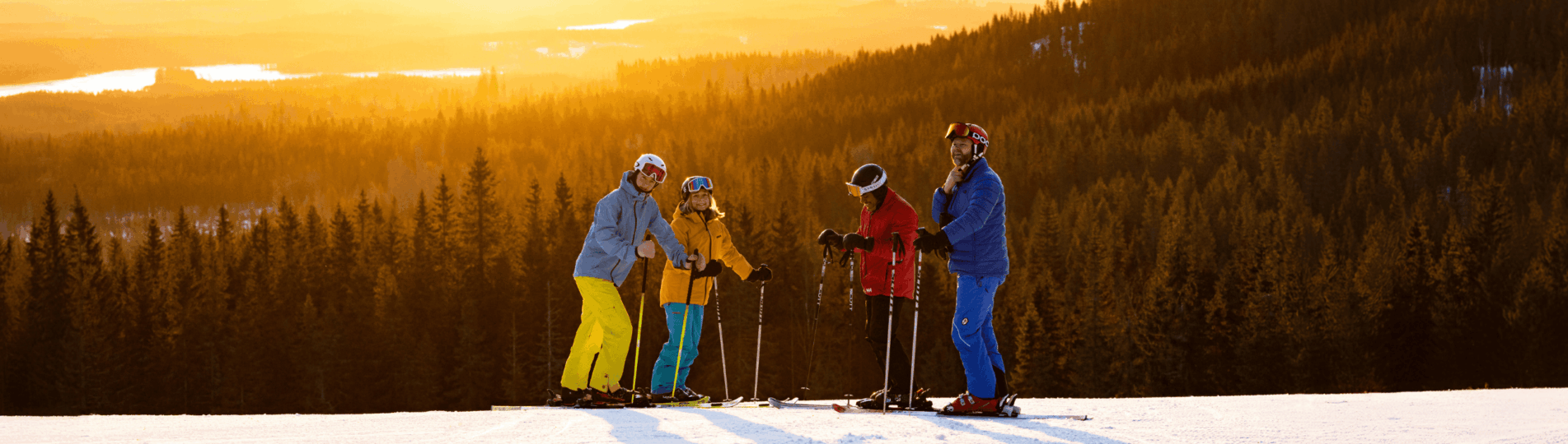 _76A4593.HeaderGrupp