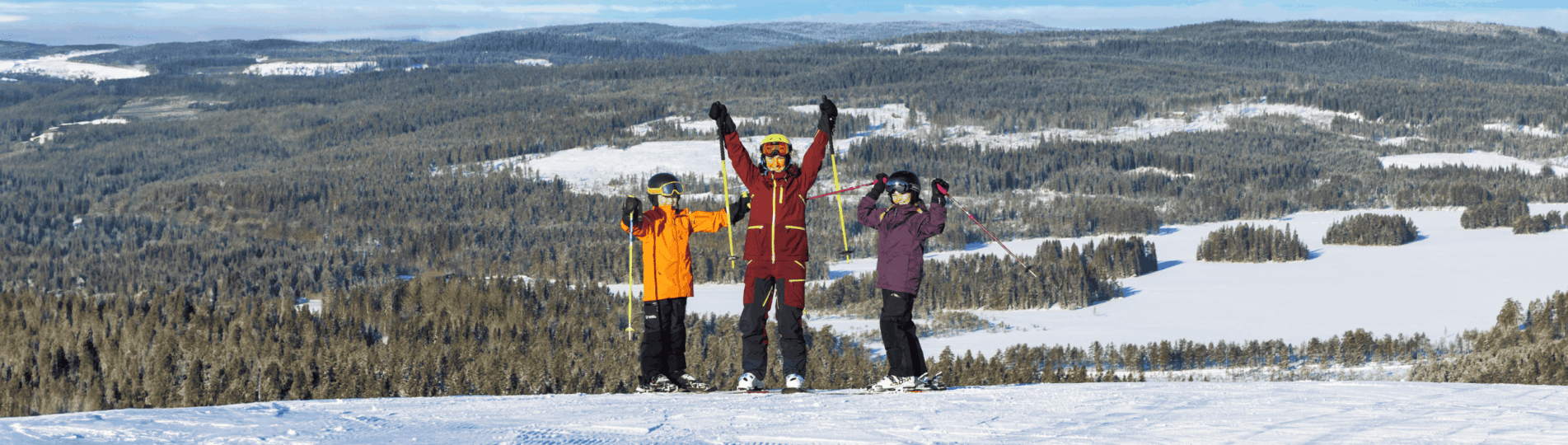 _76A4593.header.Kommunkortet