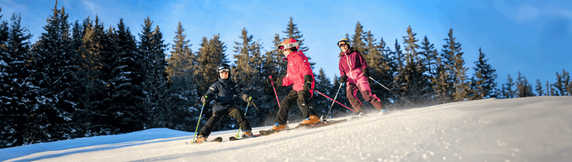 Vårskidåkning_Header