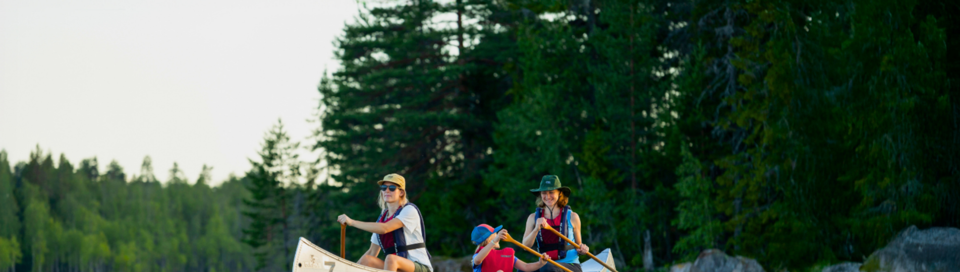 Bäversafari_2560x1333