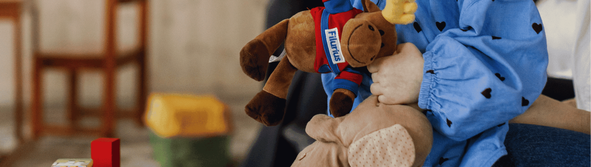 Header_Filuriusloungen